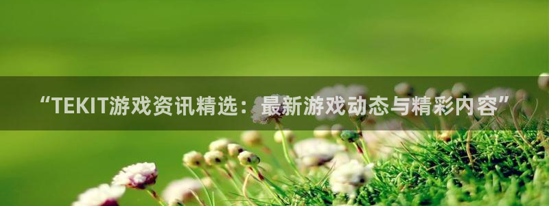长征娱乐平台：“TEKIT游戏资讯精选：最新游戏动态与精彩内