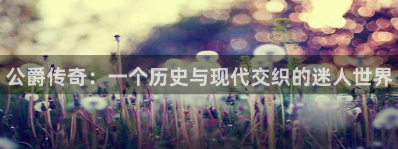 长征娱乐平台注册资金多少：公爵传奇：一个历史与现代交织的迷人