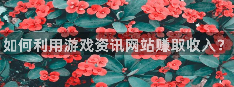 长征娱乐游戏：如何利用游戏资讯网站赚取收入？