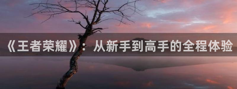 长征娱乐的意思：《王者荣耀》：从新手到高手的全程体验