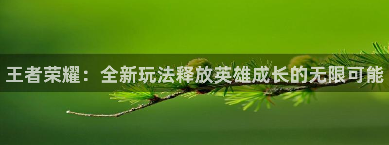 长征娱乐怎么注册：王者荣耀：全新玩法释放英雄成长的无限可能