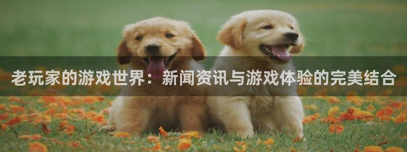 长征娱乐于 1.1.l.l.7.8 长征扣釦
