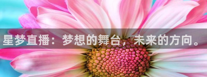 乐球吧免费体育直播：星梦直播：梦想的舞台，未来的方向。