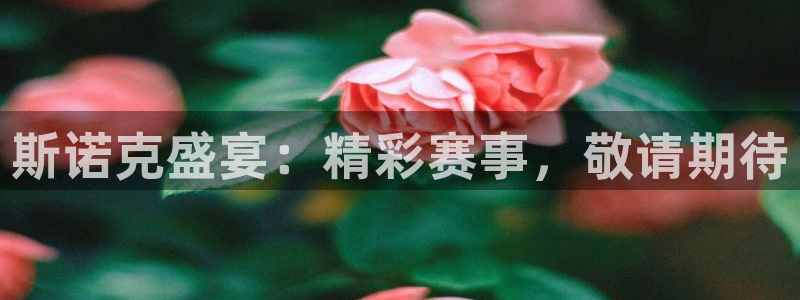 乐球直播体育在线观看：斯诺克盛宴：精彩赛事，敬请期待