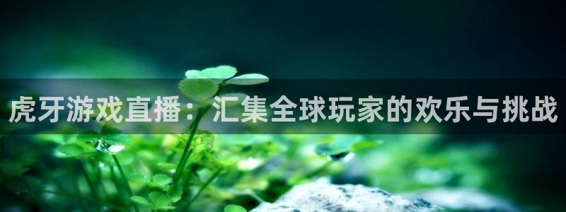 乐球直播体育直播：虎牙游戏直播：汇集全球玩家的欢乐与挑战