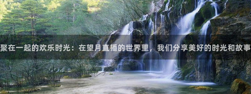 乐球体育直播免费观看：聚在一起的欢乐时光：在望月直播的世界里，我们分享美好的时光和故事