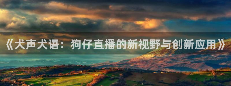 乐球在线观看高清直播：《犬声犬语：狗仔直播的新视野与创新应用》
