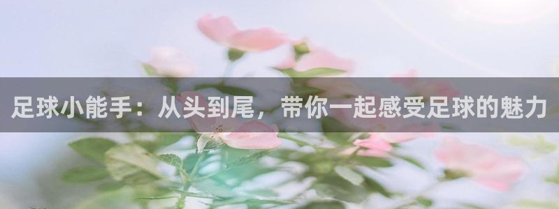 乐球直播nba赛事：足球小能手：从头到尾，带你一起感受足球的魅力