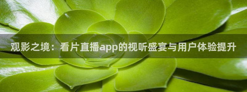 乐球直播app官网：观影之境：看片直播app的视听盛宴与用户体验提升