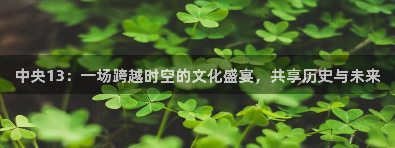乐球直播体育免费直播nba：中央13：一场跨越时空的文化盛宴，共享历史与未来