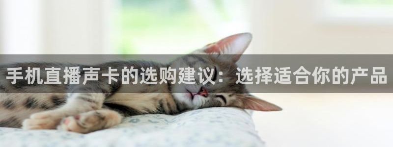 jrs直播低调看直播乐球直播：手机直播声卡的选购建议：选择适合你的产品