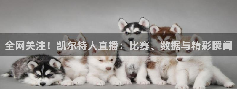 乐球直播(无插件)：全网关注！凯尔特人直播：比赛、数据与精彩瞬间