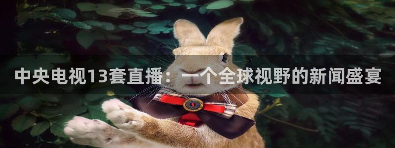 乐球体育直播在线观看免费：中央电视13套直播：一个全球视野的新闻盛宴