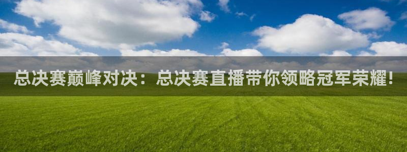 乐球直播免费进入：总决赛巅峰对决：总决赛直播带你领略冠军荣耀!